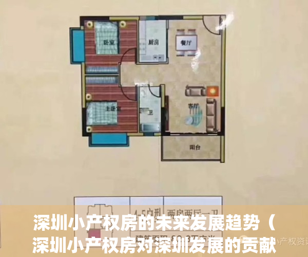 深圳小产权房的未来发展趋势（深圳小产权房对深圳发展的贡献）(专家谈深圳小产权房的未来)