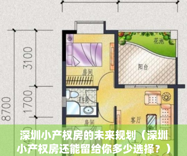 深圳小产权房的未来规划（深圳小产权房还能留给你多少选择？）(深圳小产权会降价吗)