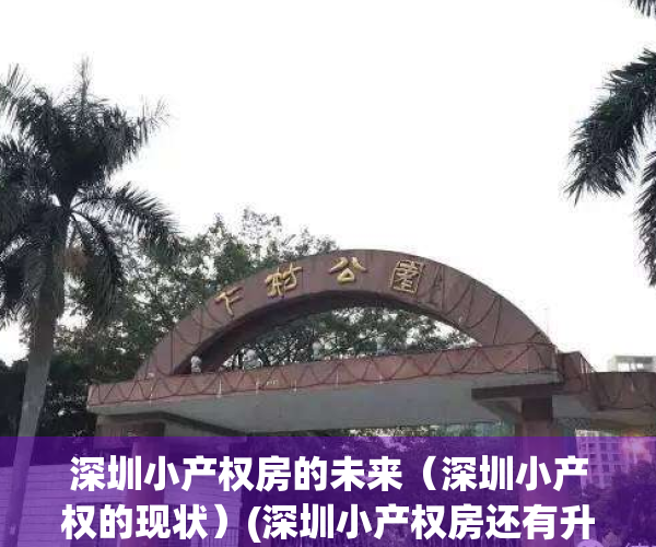 深圳小产权房的未来（深圳小产权的现状）(深圳小产权房还有升值空间吗)