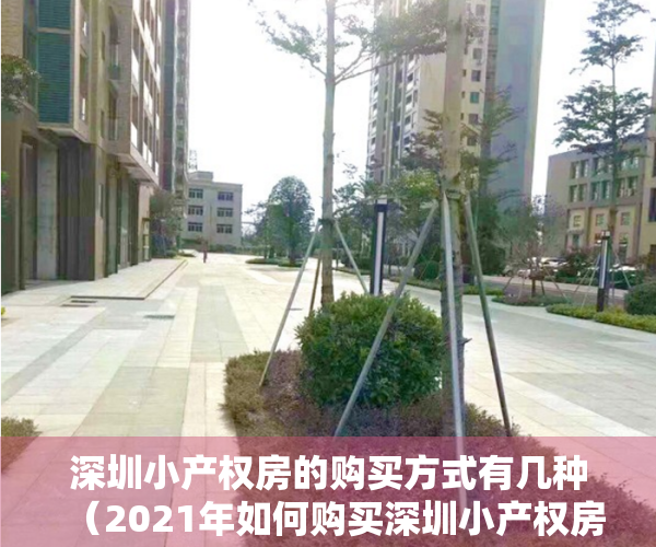 深圳小产权房的购买方式有几种（2021年如何购买深圳小产权房，一定要看清楚这两个方向！）