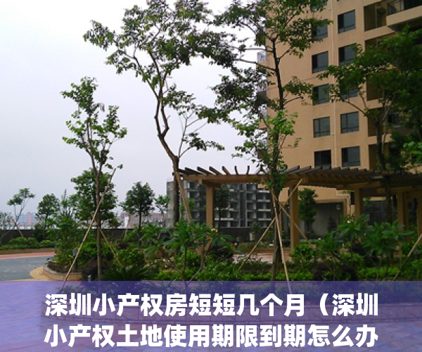 深圳小产权房短短几个月（深圳小产权土地使用期限到期怎么办？）(深圳小产权使用年限)