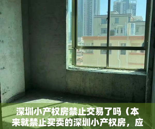 深圳小产权房禁止交易了吗（本来就禁止买卖的深圳小产权房，应该反思的是何以至此）