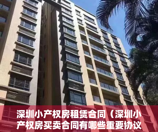 深圳小产权房租赁合同（深圳小产权房买卖合同有哪些重要协议呢？不懂的来瞧一瞧）