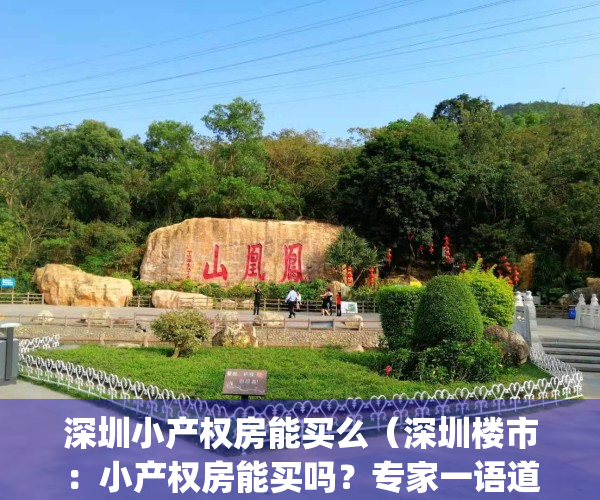 深圳小产权房能买么（深圳楼市：小产权房能买吗？专家一语道破）(2021年深圳小产权房能买吗)