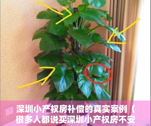 深圳小产权房补偿的真实案例（很多人都说买深圳小产权房不安全，看看深圳小产权房的补偿方案！）