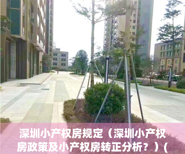 深圳小产权房规定（深圳小产权房政策及小产权房转正分析？）(2020年深圳小产权房的最新政策)