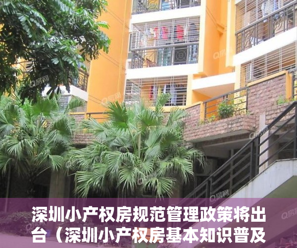 深圳小产权房规范管理政策将出台（深圳小产权房基本知识普及讲解，给需要又担心的你一个答案）