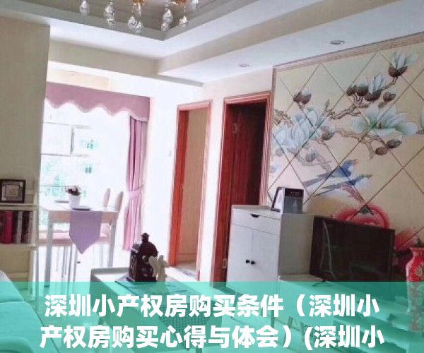 深圳小产权房购买条件（深圳小产权房购买心得与体会）(深圳小产权房购买须知)