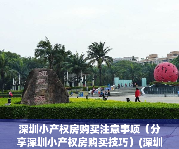 深圳小产权房购买注意事项（分享深圳小产权房购买技巧）(深圳小产权房购买要注意哪些问题)