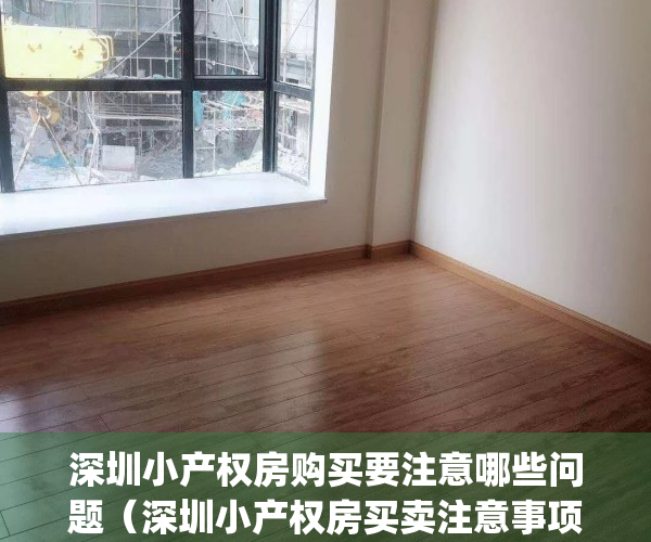 深圳小产权房购买要注意哪些问题（深圳小产权房买卖注意事项）(深圳购买小产权房需要什么条件)