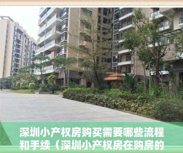 深圳小产权房购买需要哪些流程和手续（深圳小产权房在购房的时候，可以选择贷款吗？）