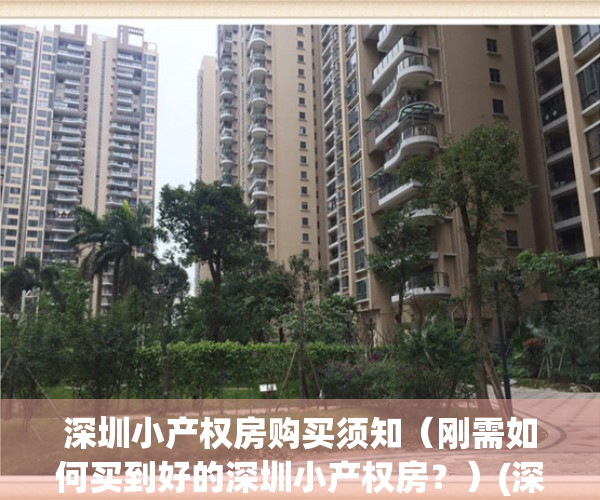 深圳小产权房购买须知（刚需如何买到好的深圳小产权房？）(深圳小产权哪里买)