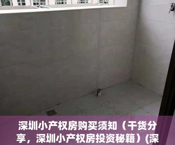 深圳小产权房购买须知（干货分享，深圳小产权房投资秘籍）(深圳小产权房何去何从)