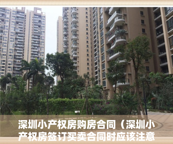 深圳小产权房购房合同（深圳小产权房签订买卖合同时应该注意什么？）