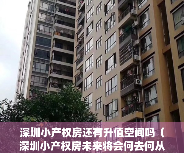 深圳小产权房还有升值空间吗（深圳小产权房未来将会何去何从？）(深圳小产权房2020政策)