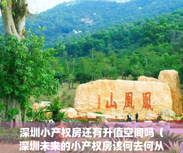 深圳小产权房还有升值空间吗（深圳未来的小产权房该何去何从？）(深圳小产权房未来的趋势)