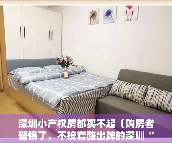 深圳小产权房都买不起（购房者警惕了，不按套路出牌的深圳“小产权房”）