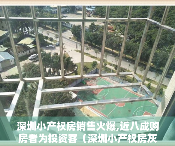 深圳小产权房销售火爆,近八成购房者为投资客（深圳小产权房灰市调查：成交活跃价格跳涨，投资客险中求富）