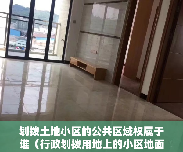 划拨土地小区的公共区域权属于谁（行政划拨用地上的小区地面停车场权属纠纷案例解析——《物业管理纠纷的裁判规则与实务总结》系列（1））