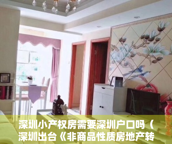 深圳小产权房需要深圳户口吗（深圳出台《非商品性质房地产转让办法》。小产权房要入市啦？）