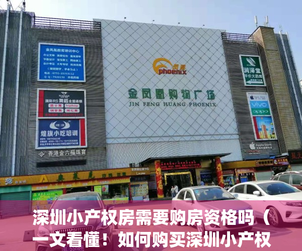 深圳小产权房需要购房资格吗（一文看懂！如何购买深圳小产权房子？）(深圳买小产权房有保障吗)