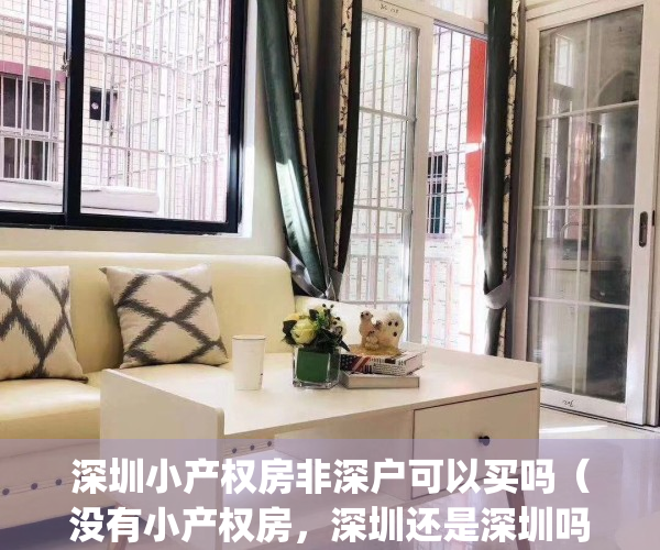 深圳小产权房非深户可以买吗（没有小产权房，深圳还是深圳吗？）(深圳小产权房外地人可以买吗)
