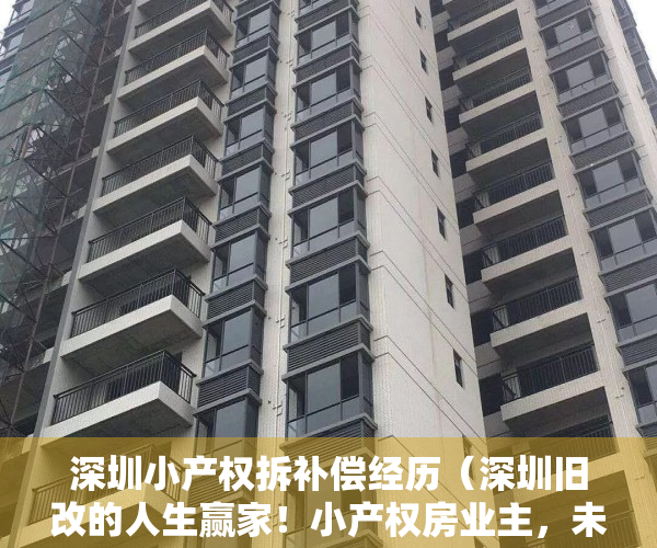 深圳小产权拆补偿经历（深圳旧改的人生赢家！小产权房业主，未来何去何从）