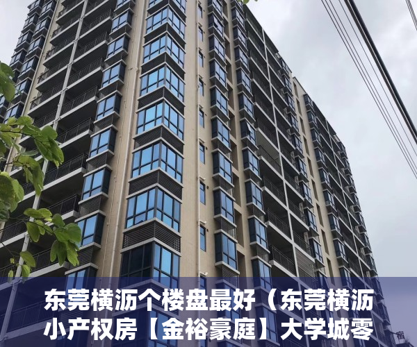 东莞横沥个楼盘最好（东莞横沥小产权房【金裕豪庭】大学城零距离 无敌采光 成本价2600元平）