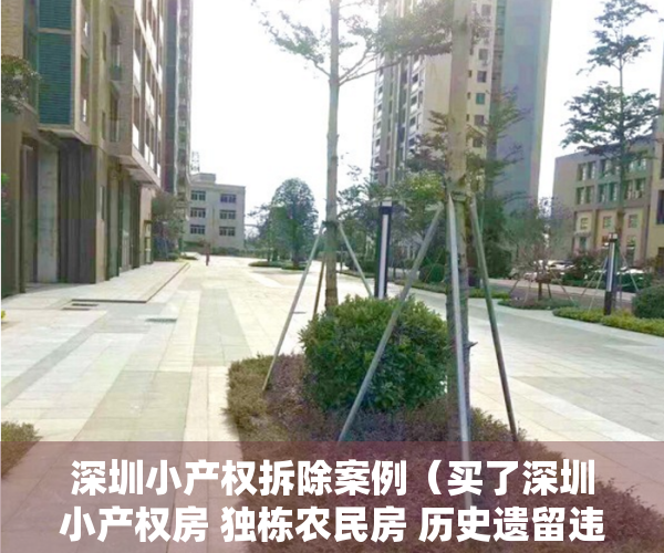 深圳小产权拆除案例（买了深圳小产权房 独栋农民房 历史遗留违法建筑 遇到拆迁能得到赔偿吗？反悔法院判决给受让方）