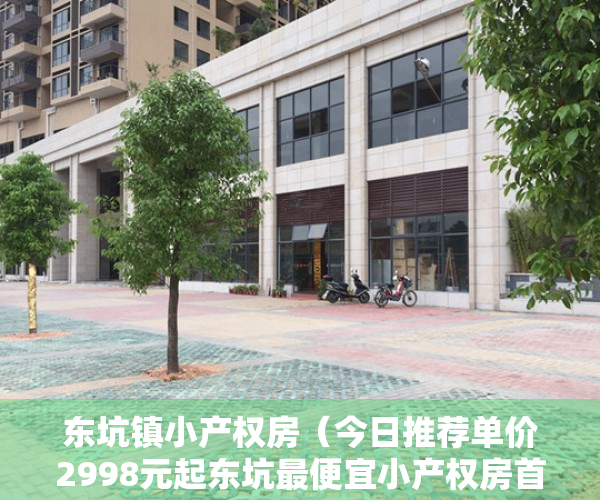 东坑镇小产权房（今日推荐单价2998元起东坑最便宜小产权房首付5成分期8年）