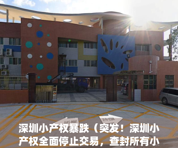 深圳小产权暴跌（突发！深圳小产权全面停止交易，查封所有小中介！）(深圳小产权2021年火了)