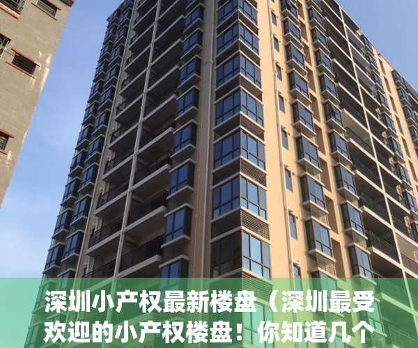 深圳小产权最新楼盘（深圳最受欢迎的小产权楼盘！你知道几个？）(深圳小产权2021年火了)
