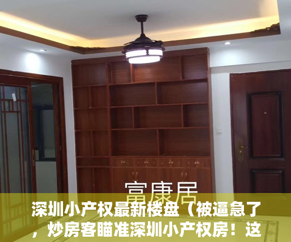 深圳小产权最新楼盘（被逼急了，炒房客瞄准深圳小产权房！这次能得逞吗？）