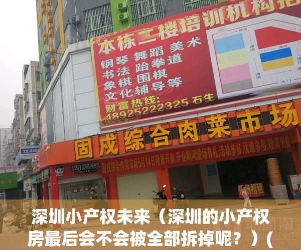 深圳小产权未来（深圳的小产权房最后会不会被全部拆掉呢？）(深圳终于拿小产权房“开刀”了)