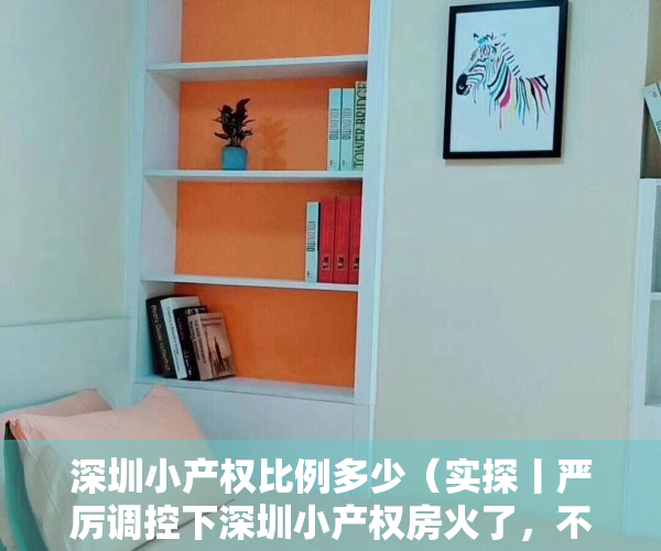 深圳小产权比例多少（实探丨严厉调控下深圳小产权房火了，不按面积按套卖，涨幅大风险也大）