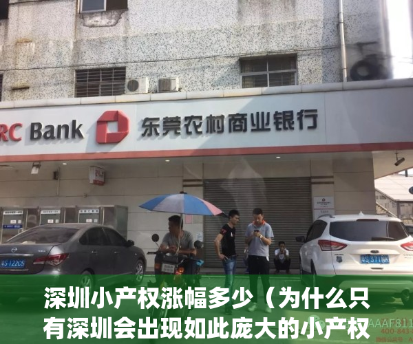 深圳小产权涨幅多少（为什么只有深圳会出现如此庞大的小产权市场）(深圳小产权暴涨30%)