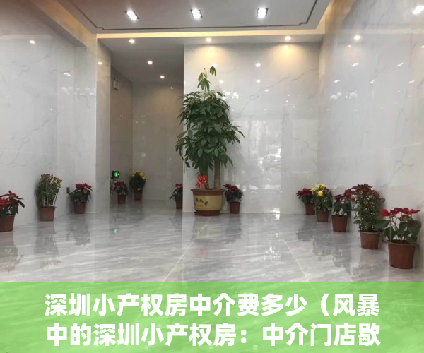 深圳小产权房中介费多少（风暴中的深圳小产权房：中介门店歇业，背后利益链复杂）