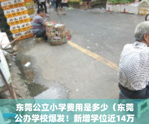 东莞公立小学费用是多少（东莞公办学校爆发！新增学位近14万个！）(东莞公办小学收费一览表)
