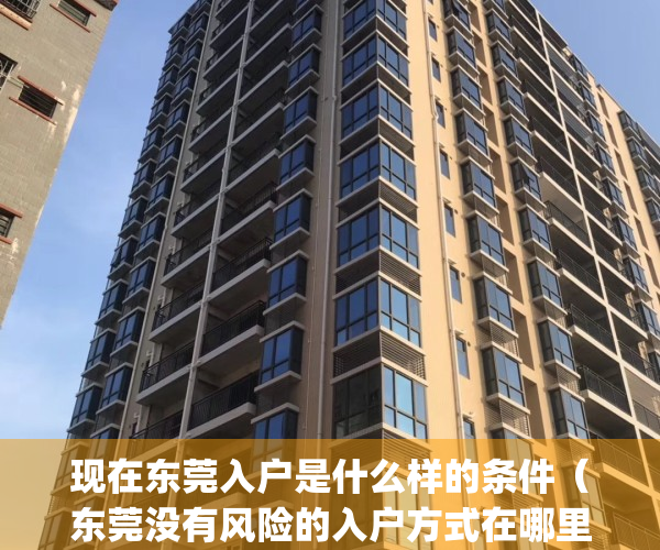 现在东莞入户是什么样的条件（东莞没有风险的入户方式在哪里？）(东莞入户最新要求)