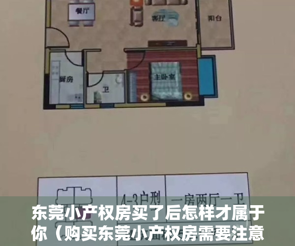 东莞小产权房买了后怎样才属于你（购买东莞小产权房需要注意哪些问题）