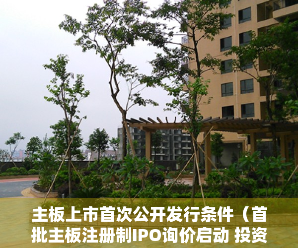 主板上市首次公开发行条件（首批主板注册制IPO询价启动 投资者询价和打新要“费思量”）
