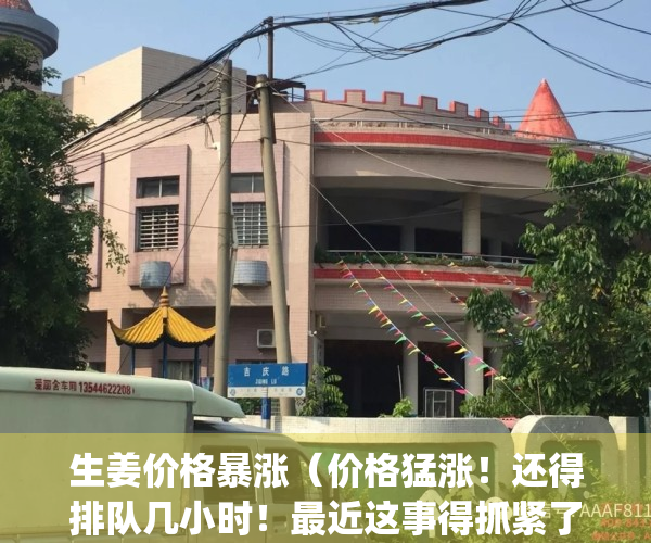 生姜价格暴涨（价格猛涨！还得排队几小时！最近这事得抓紧了……）(当前生姜价格)