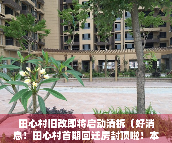 田心村旧改即将启动清拆（好消息！田心村首期回迁房封顶啦！本月下旬可看房）