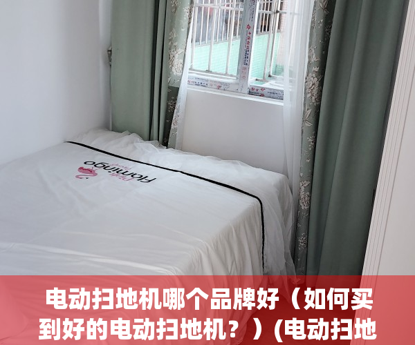 电动扫地机哪个品牌好（如何买到好的电动扫地机？）(电动扫地车品牌大全)