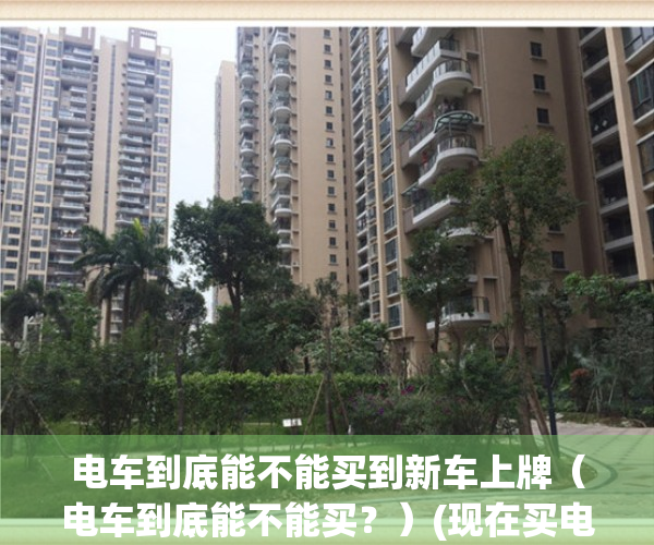 电车到底能不能买到新车上牌（电车到底能不能买？）(现在买电动车还能上绿牌吗)