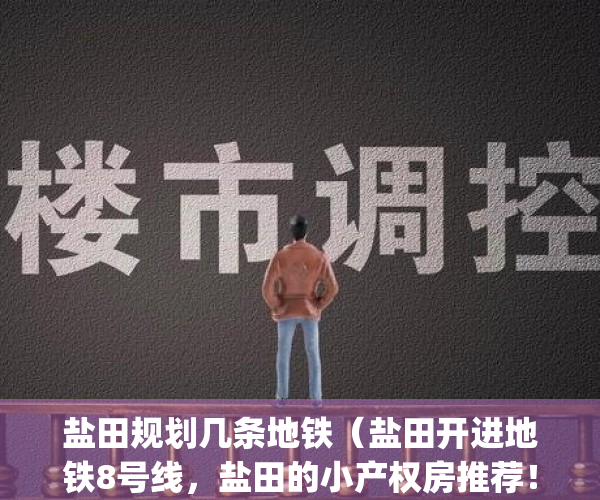 盐田规划几条地铁（盐田开进地铁8号线，盐田的小产权房推荐！）(盐田地铁口房子)