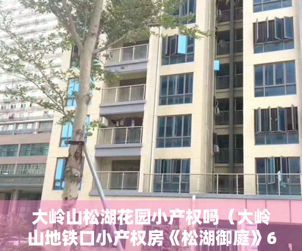 大岭山松湖花园小产权吗（大岭山地铁口小产权房《松湖御庭》6栋大型村委小产权）