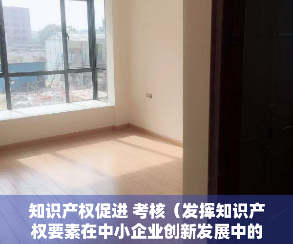 知识产权促进 考核（发挥知识产权要素在中小企业创新发展中的作用）