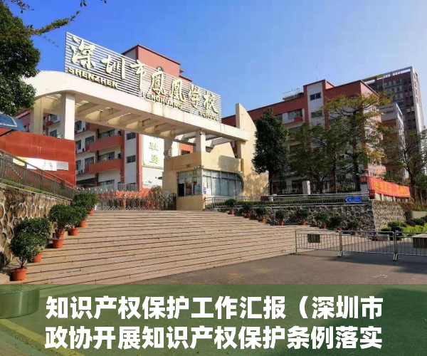 知识产权保护工作汇报（深圳市政协开展知识产权保护条例落实情况监督性视察）
