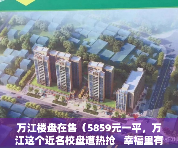 万江楼盘在售（5859元一平，万江这个近名校盘遭热抢   幸福里有好房）
